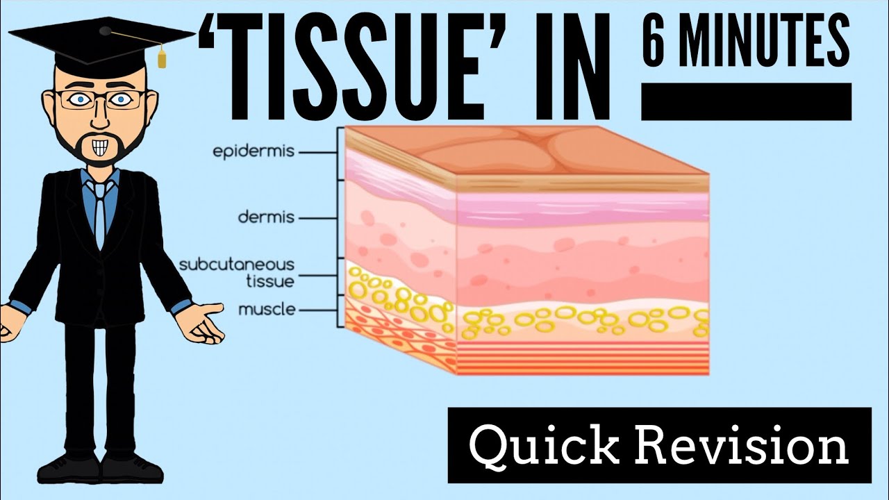'Tissue' in 6 Minutes: Quick Revision