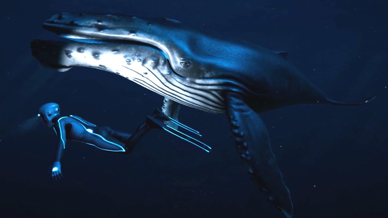 Beyond Blue - Atoll Night - Open World Free Roam Gameplay (PC HD) [1080p60FPS]