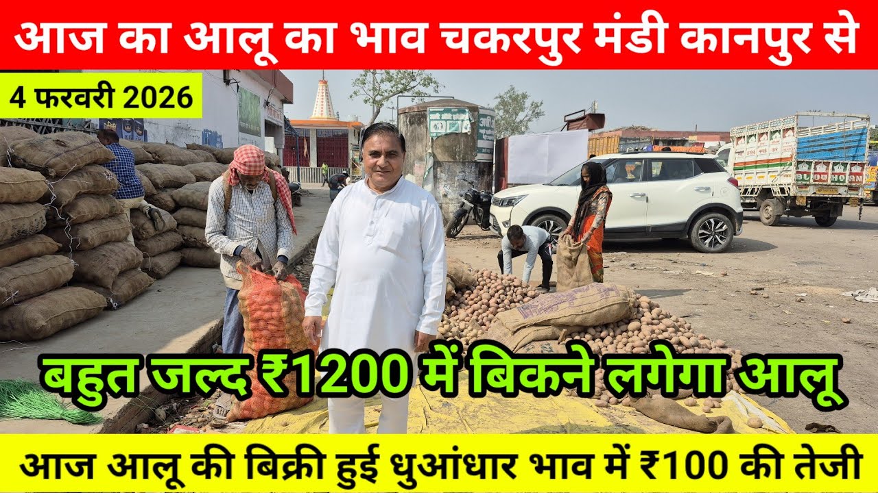 4 फरवरी 2026 /आज का आलू का भाव चकरपुर मंडी कानपुर से बहुत जल्द ₹1200 में बिकने लगेगा आलूAalu Ka Bhav