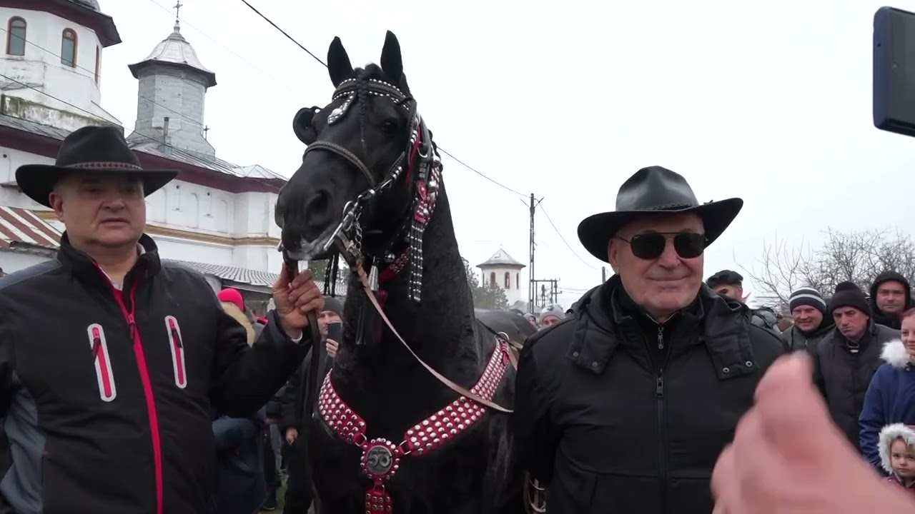 BOBOTEAZA POROSCHIA 2026