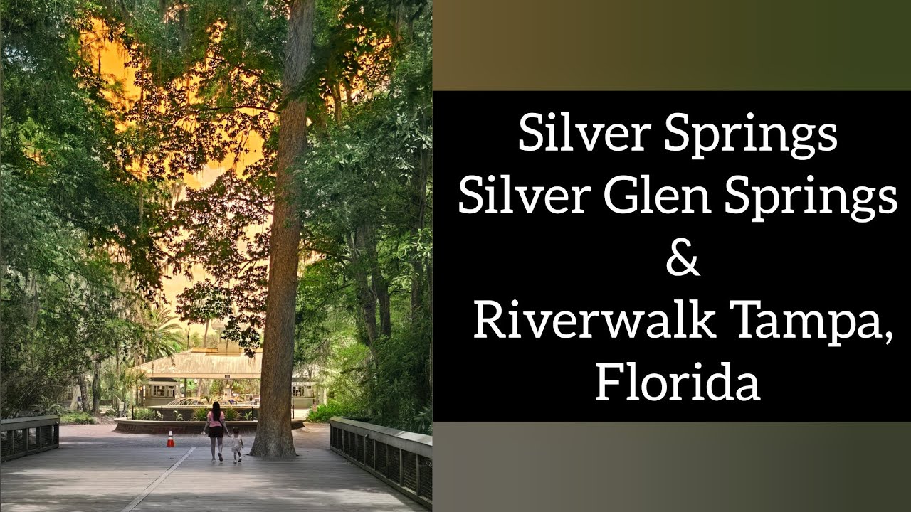 Silver Springs | Silver Glen Springs| Riverwalk Tampa |Florida | May 2025 