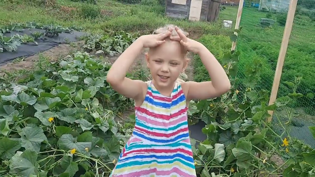 Погода пугает. Гроза, дождь, град. Привожу в порядок грядки.