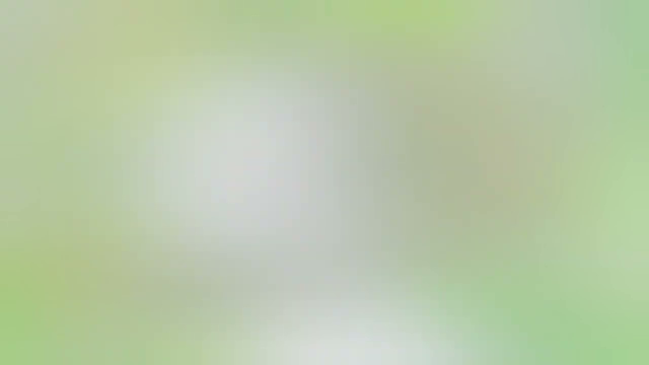 Topsy And Tim End credits 2 (Polish)