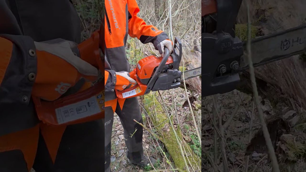 Chainsaw Husqvarna 130 cutting Trees #motors&auml;ge