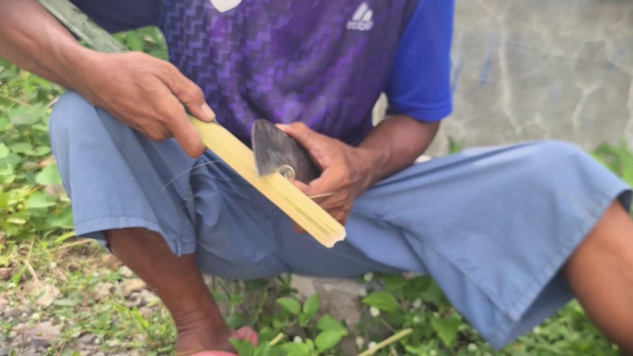 Farmer Installing Bamboo Poles Using Traditional Methods 