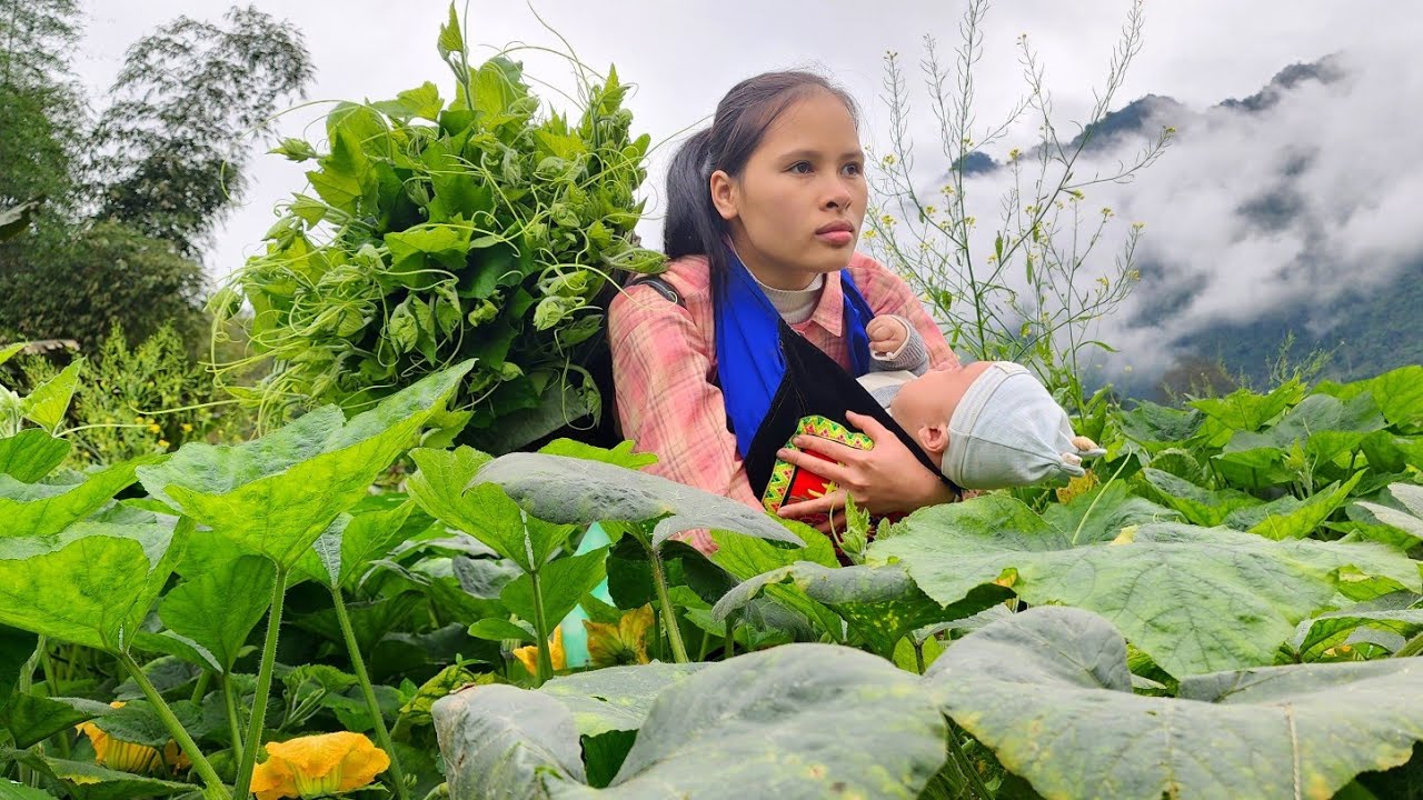 Single mother harvests pumpkin leaves - makes Banh Chung with child to celebrate the Lunar New Year.