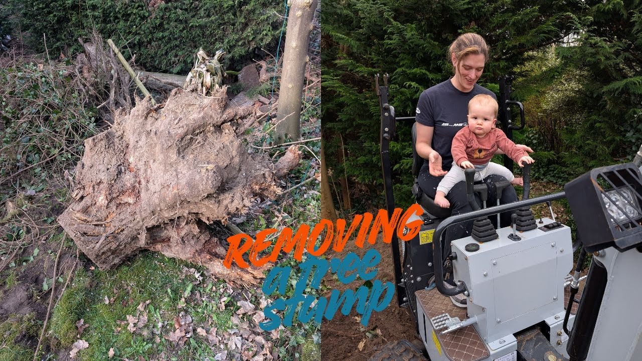 Removing a tree stump
