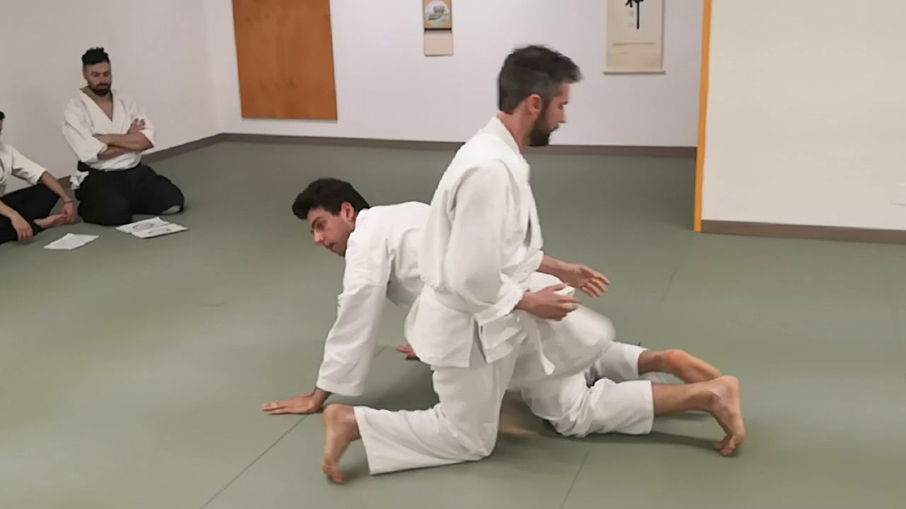 Aikido Aishinkan Rovigo, 3&deg;Kyu Sergio