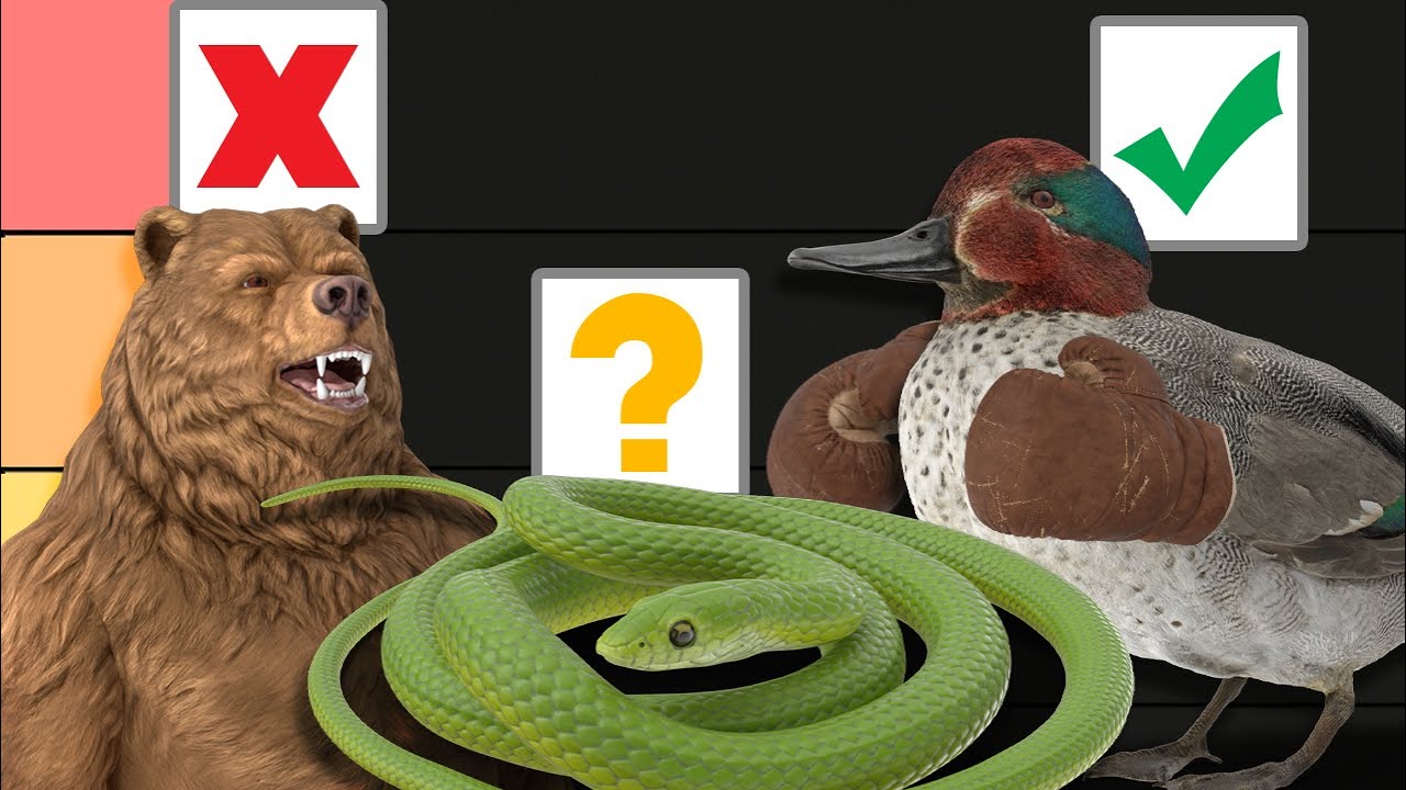 Ranking which animals we could beat in a fight