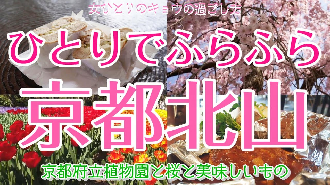 【京都北山編 女ひとり散歩】ひとりでふらふら京都府立植物園散歩/北山/ランチ/パン/モンブラン/陶板名画の庭 | 京都で暮らす女の日常Vlog