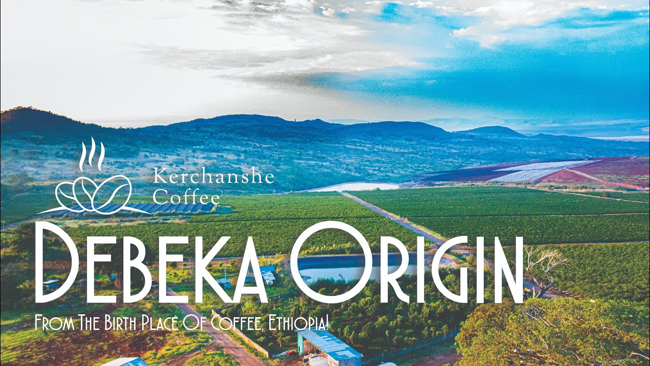 Discovering Debak Farm: A Journey Through Ethiopian Coffee Cultivation