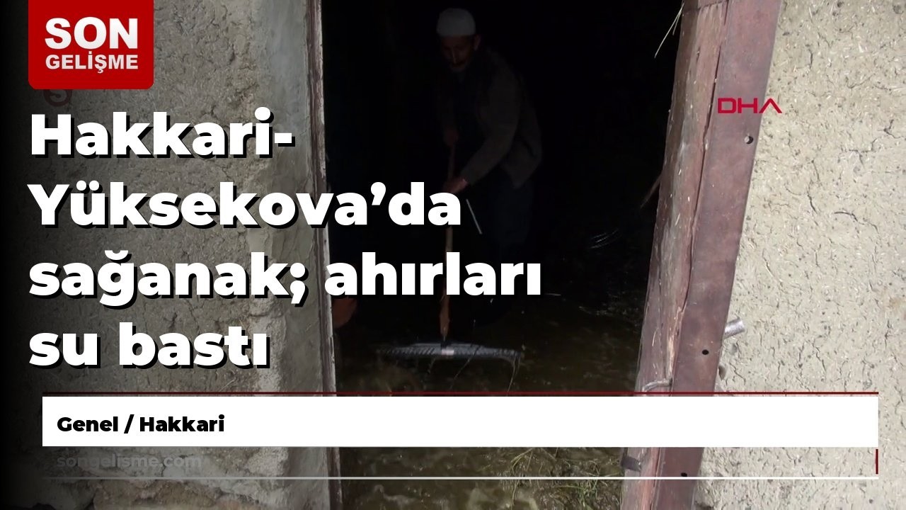 Hakkari- Yüksekova’da sağanak; ahırları su bastı
