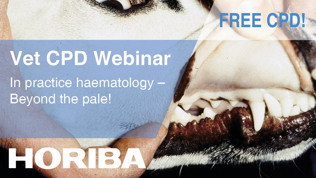 In-practice Haematology - Beyond the pale - HORIBA Veterinary CPD Webinar