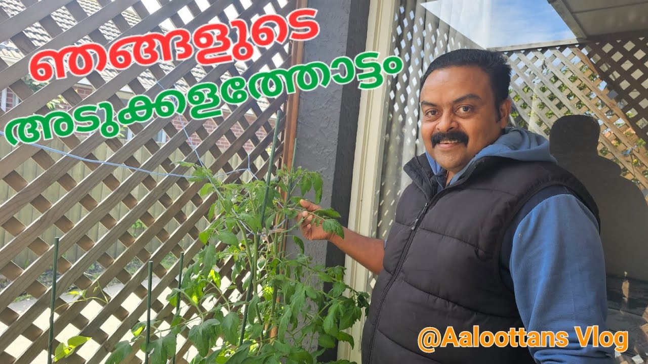 Our Small Vegetable Garden|ഇവിടുത്തെ ഞങ്ങളുടെ കുഞ്ഞൻ അടുക്കള തോട്ടം|Tomato|Silverbeat|Beans|Ashgourd