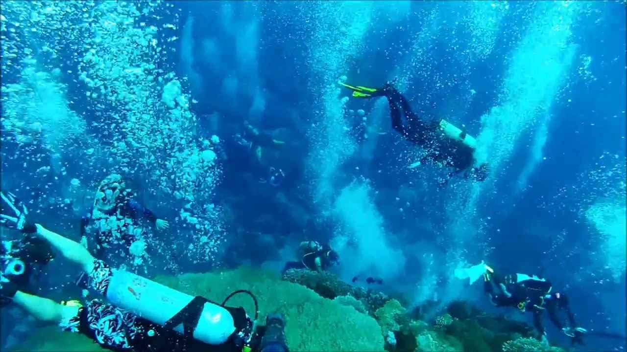 The Mushroom - Freediving Taiwan
