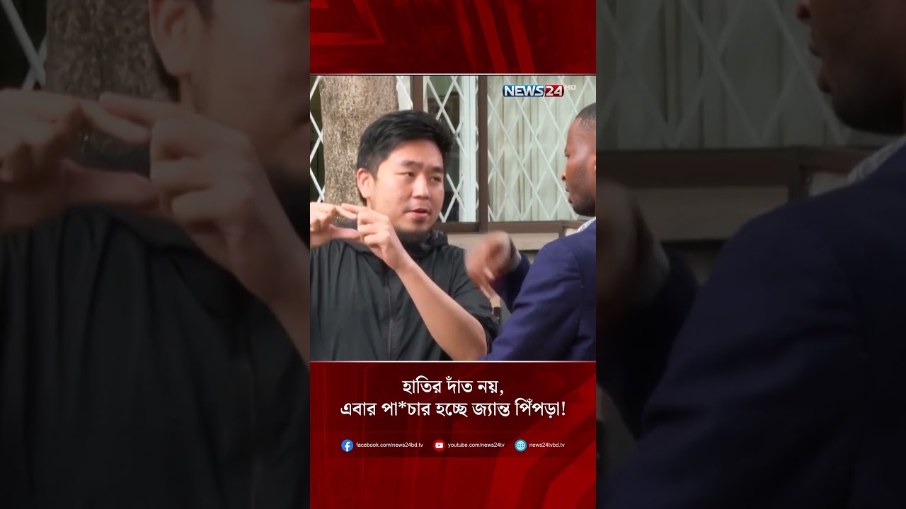 হাতির দাঁত নয়, এবার পা*চার হচ্ছে জ্যান্ত পিঁপড়া! | NEWS24