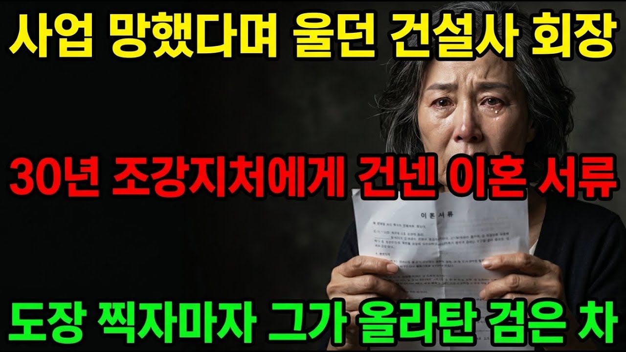 사모님은 식모였다: 30년 리플리 쇼의 전말 | 노후사연 | 오디오북 | 반전사연 | 감동사연 | 사연라디오 | #시니어사연