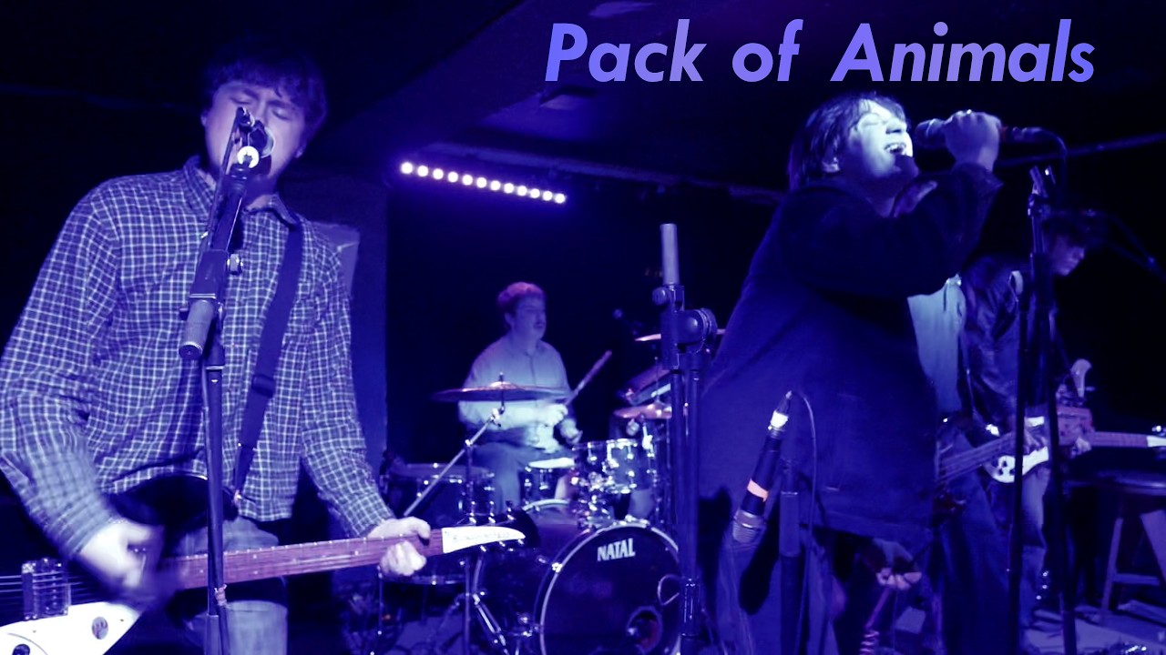 Pack of Animals - Round N Round at the Sebright Arms, London