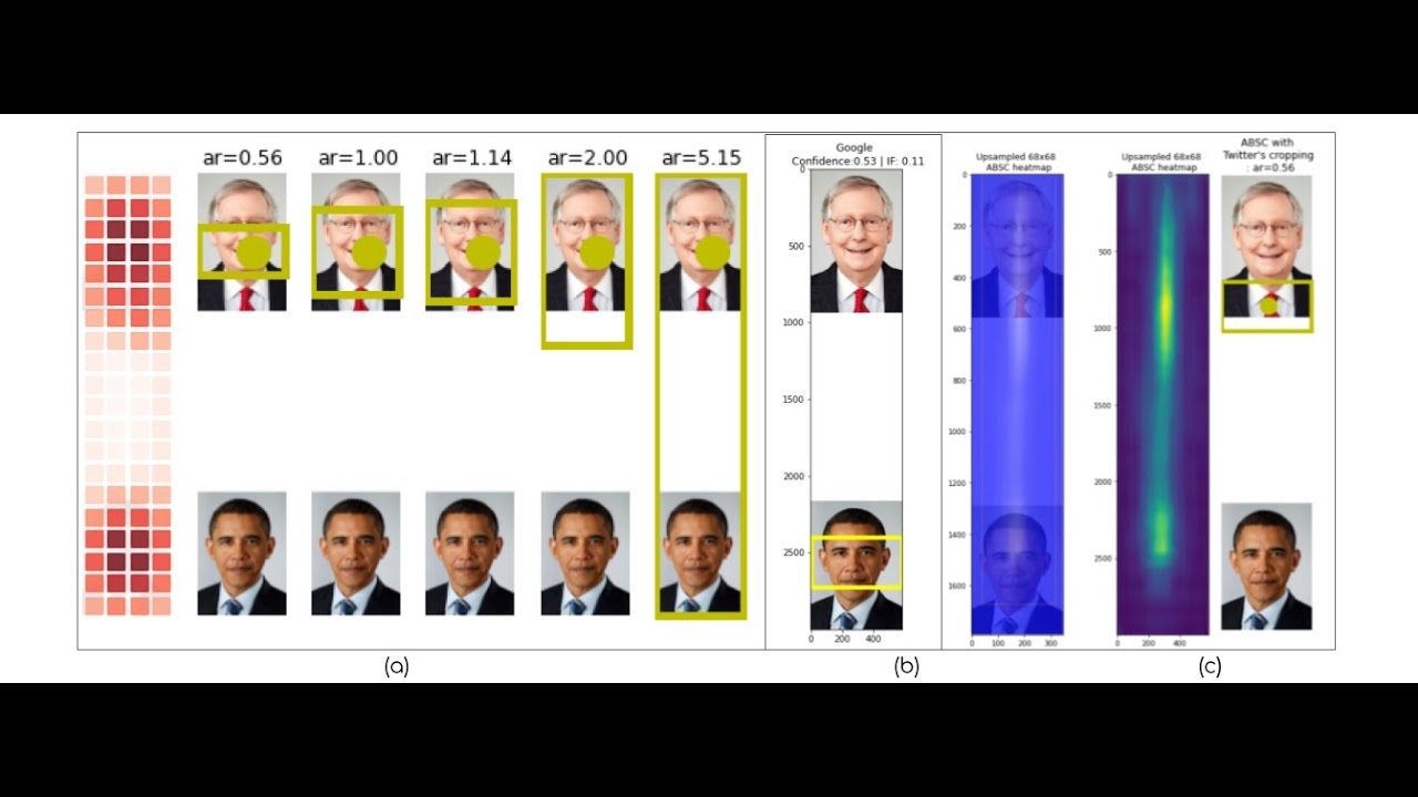 Auditing Saliency Image Cropping