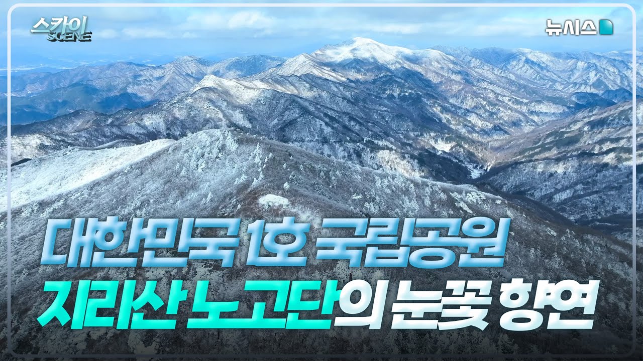 [4k] 하얀 융단처럼 덮인 눈꽃…지리산 노고단❄️ [스카이씬]