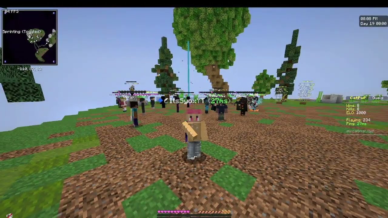 Minecraft Server Testen #1 (mit Strife)