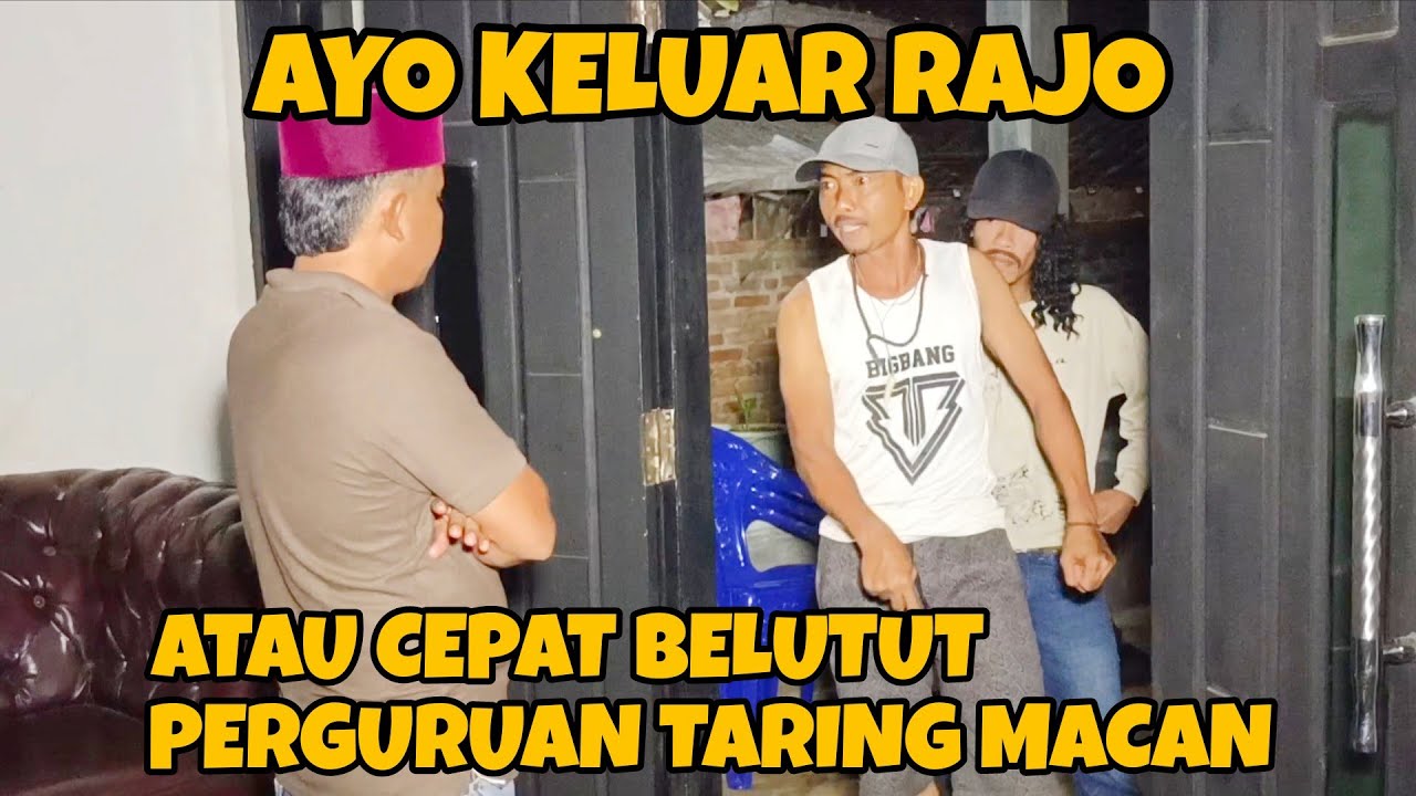 AYO KELUAR RAJO DUEL SEKARNG PERGURUAN TARING MACAN | dang rajo terbaru