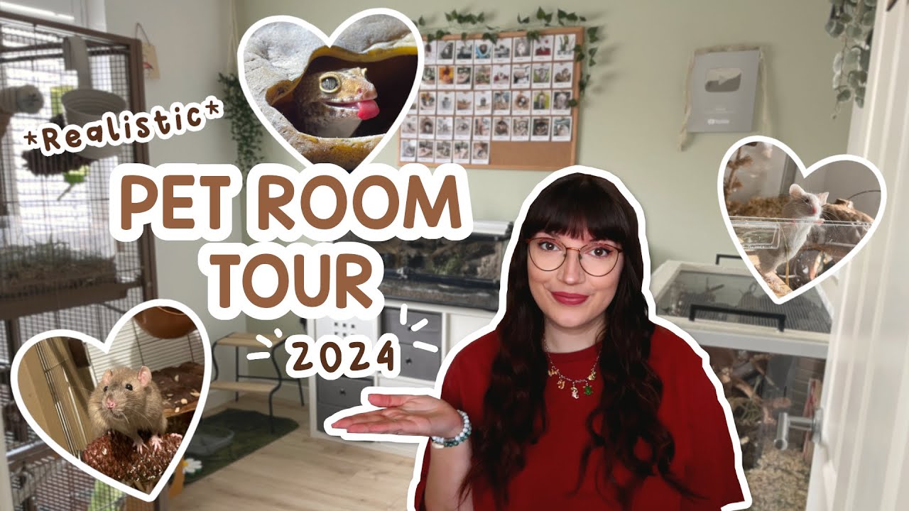 Realistic Pet room tour | Rats, Mice & Leopard Gecko