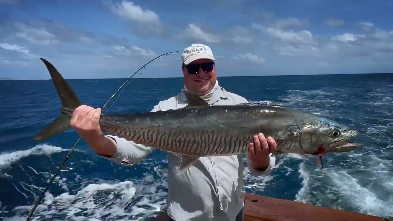 MARLIN FISHING / AKIRA  / COOKTOWN / LIZARD ISLAND 2022
