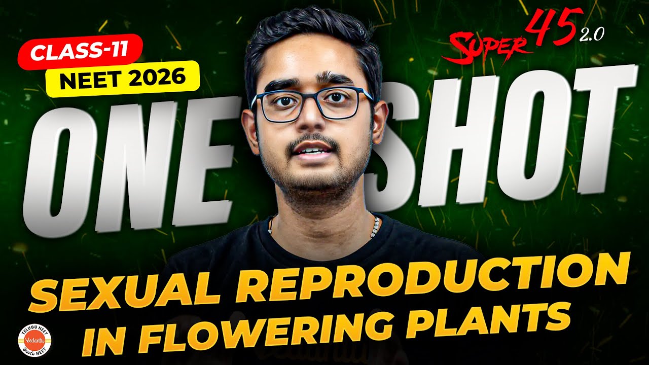 Sexual Reproduction in Flowering Plants One Shot 🌿 | Class 11 Biology | NEET 2026 | Ajay Kumar Sir