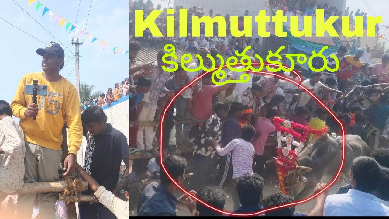 🔥Kilmuttukur💥కిల్ముత్తుకూరు Erudukattu 17/01/2026🔥