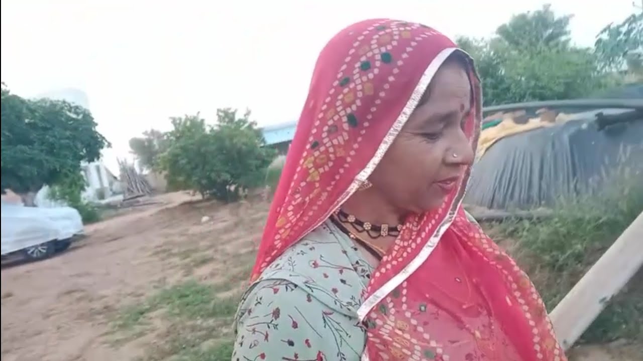 फार्म हाउस पर लगे हुए पौधे #trending #कृषि #new (हीरा सैनी)