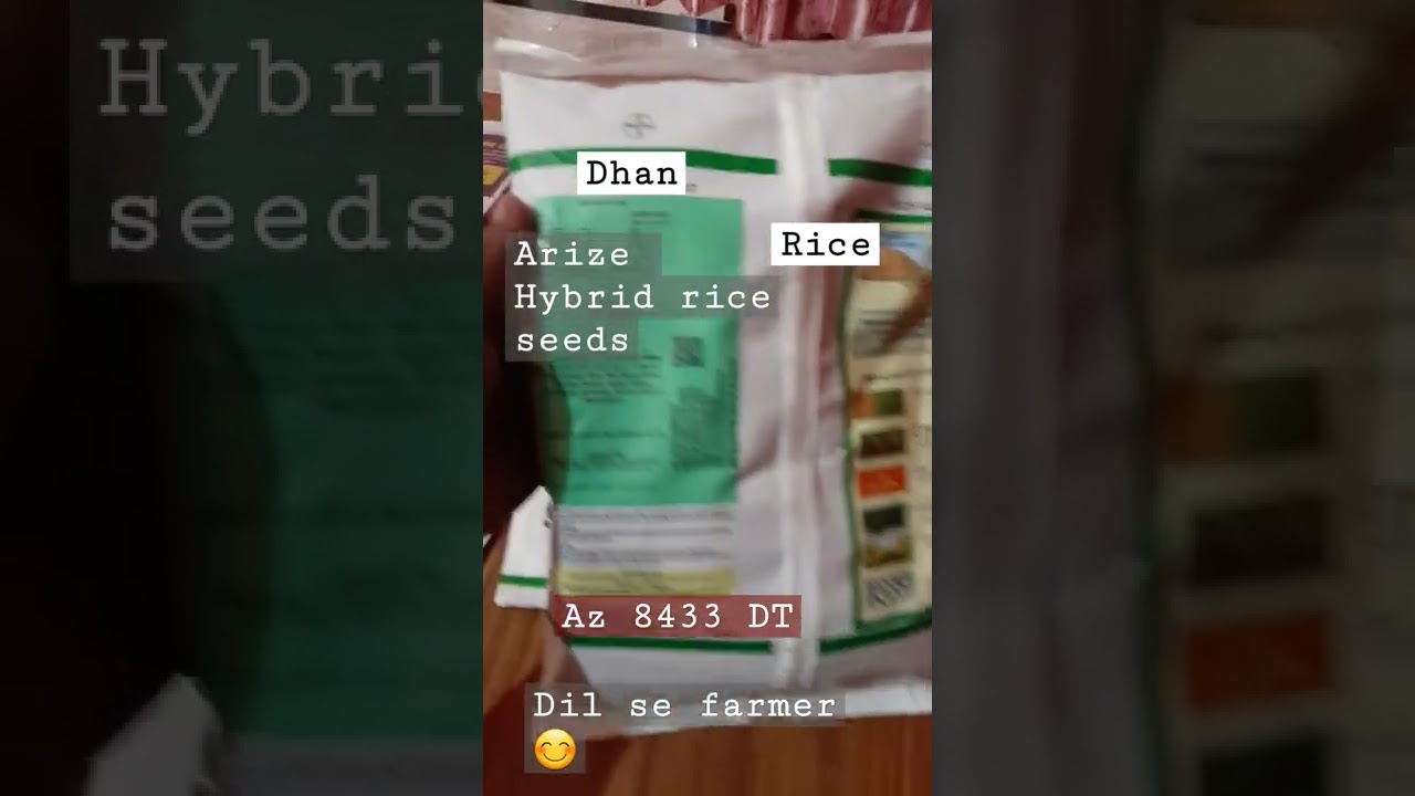 Rice seeds || Arize Az8433 DT || Dil se farmer 😊