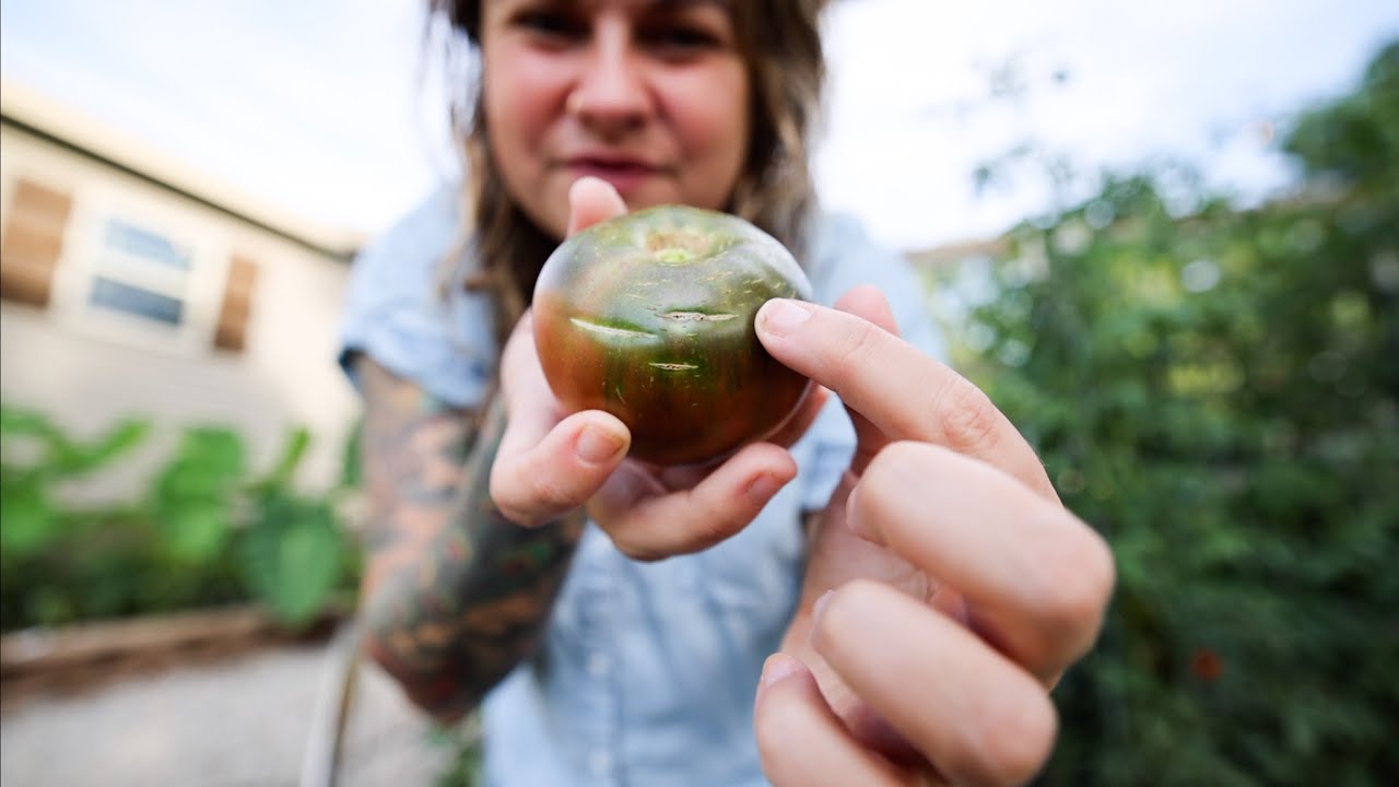 Dealing with Splitting Tomatoes (And thoughts as the raised bed garden begins) | VLOG