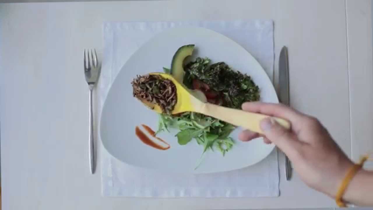 EntoCube - Taste The Change