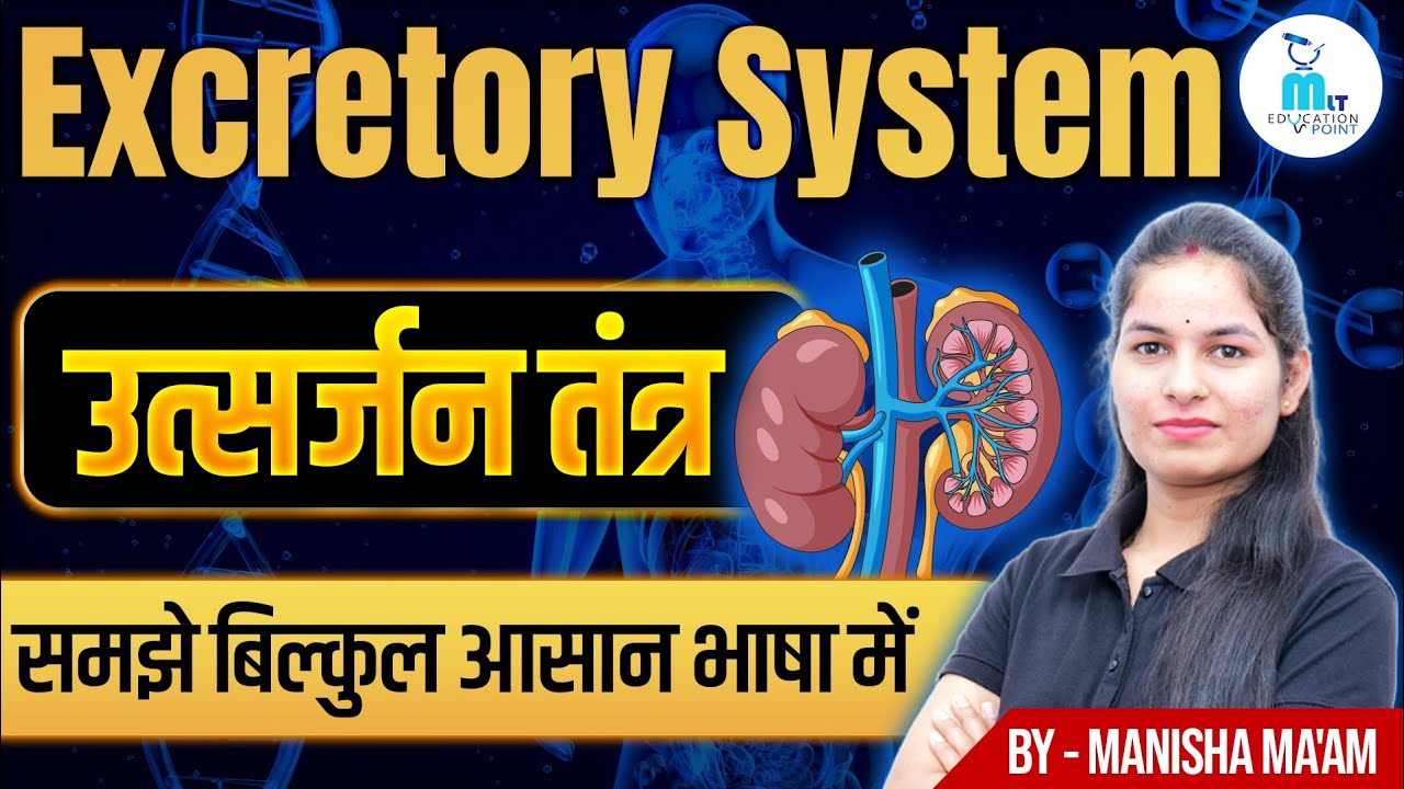 Excretory System in Hindi Part - 1 | उत्सर्जन तंत्र | Kidney | by Manisha Ma'am