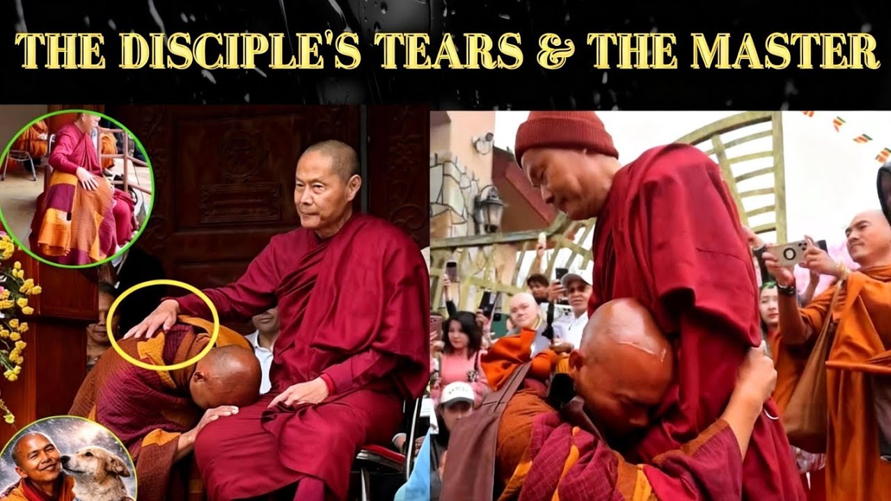 The World -Renowned Disciple &His Silent Master:A Tale of Gratitude