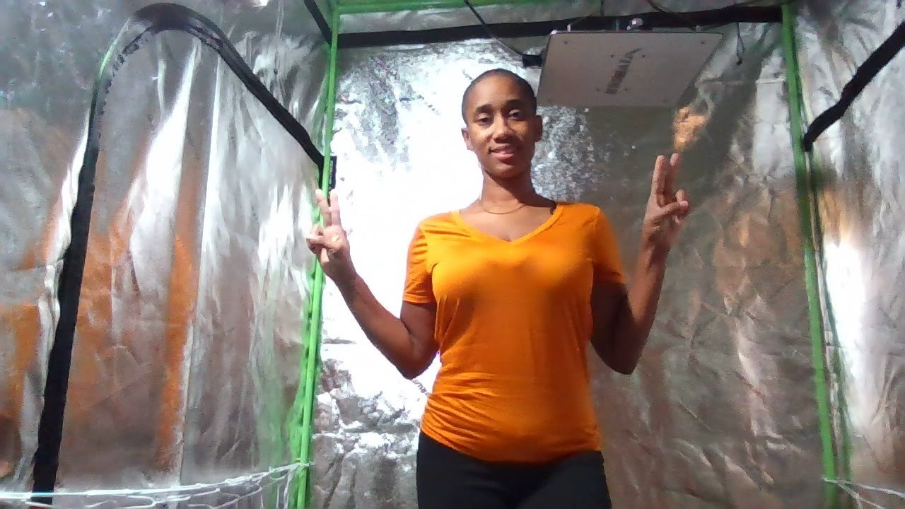 Dropping Seeds, Trans Planting Plants, and Mail Haul| Gardening  2021