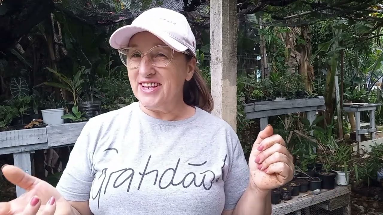 DIA DE PLANTAR ERVILHA DE ÁRVORE