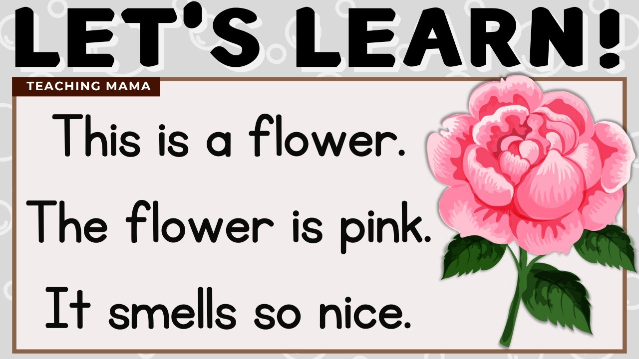 LET'S READ! | PRACTICE READING SIMPLE SENTENCES | LEARN TO READ ENGLISH FOR KIDS | TEACHING MAMA