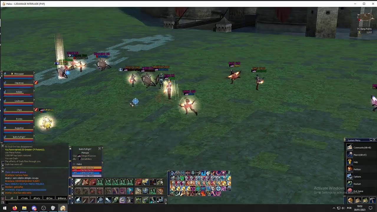 Lineage 2 DAMAGE Halos SEASON 2 Heine Siege for PVP's