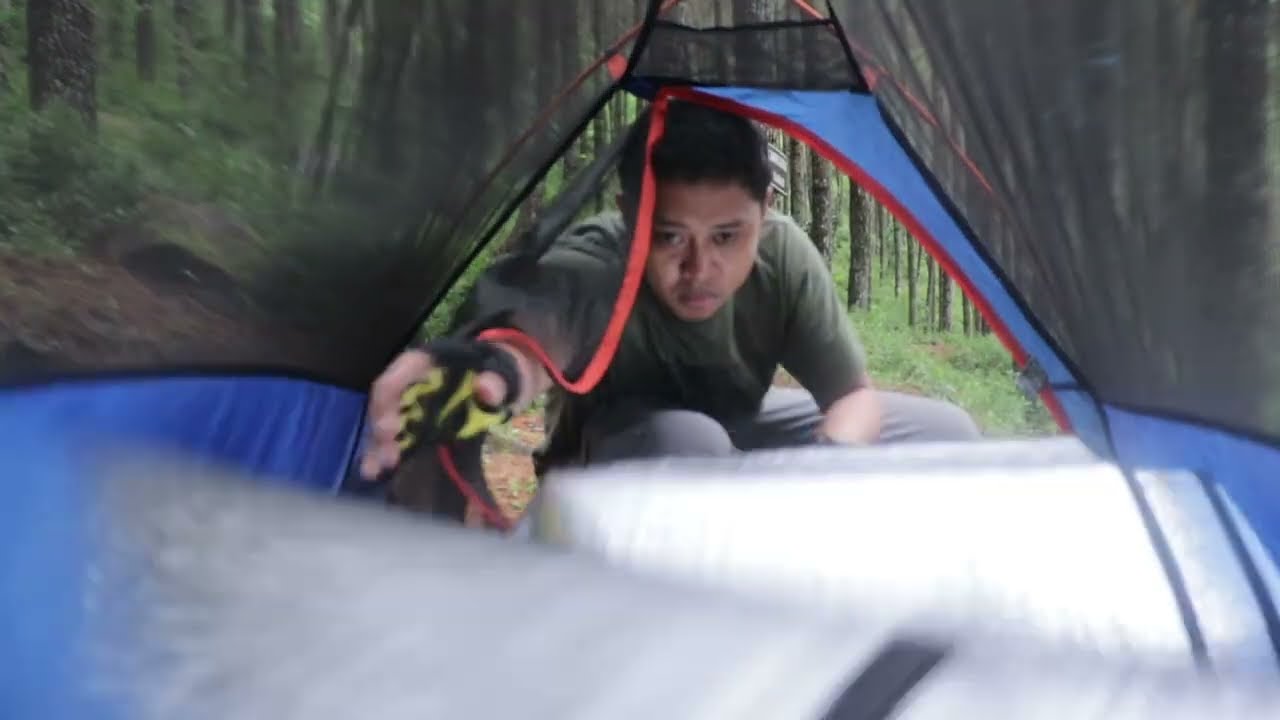 Hutan Pinus Gunung Andong &bull; asmr camping