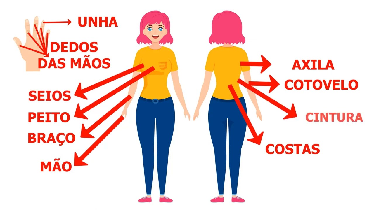 Partes do Corpo em Português | Português para Estrangeiros | Caminhos