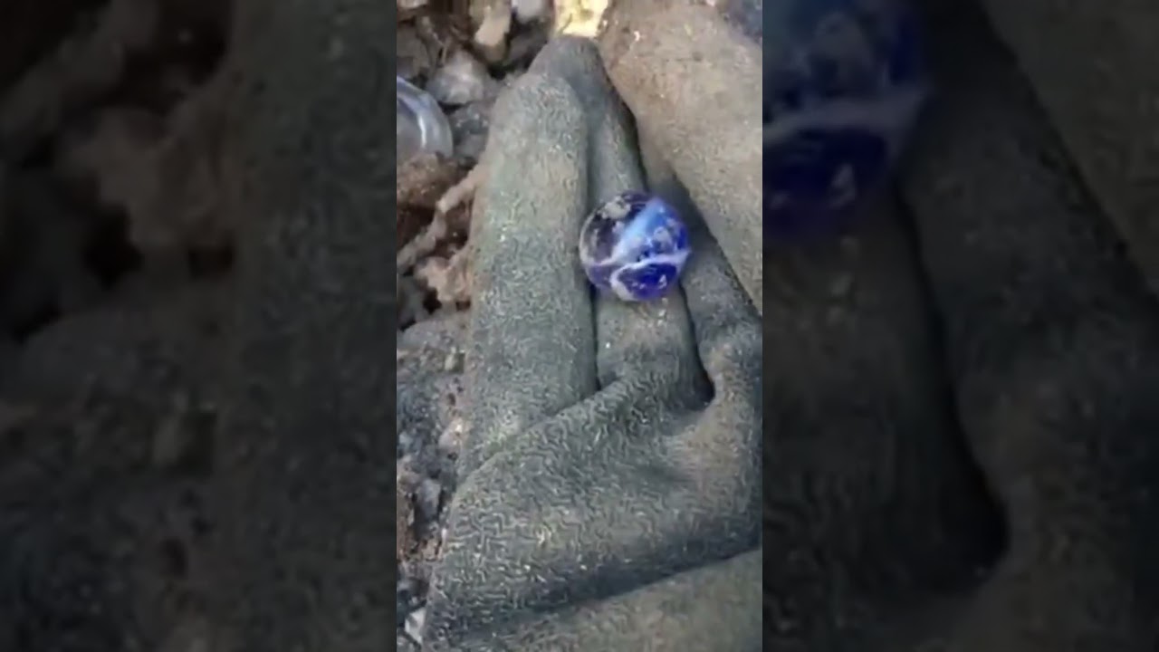 lovely treasure from the mud