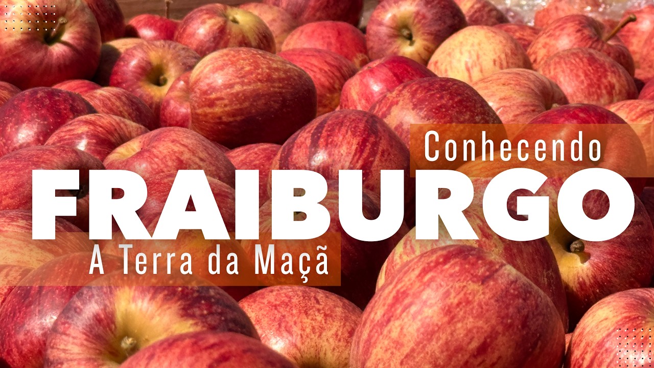 Dica de Turismo no Sul: Começou a Colheita da Maçã em Santa Catarina, 2026 | Toca Cultural