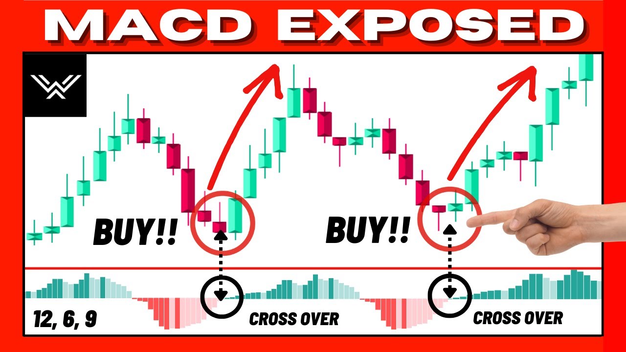 Полный курс по торговле индикатором MACD (МГНОВЕННЫЙ ЭКСПЕРТ)