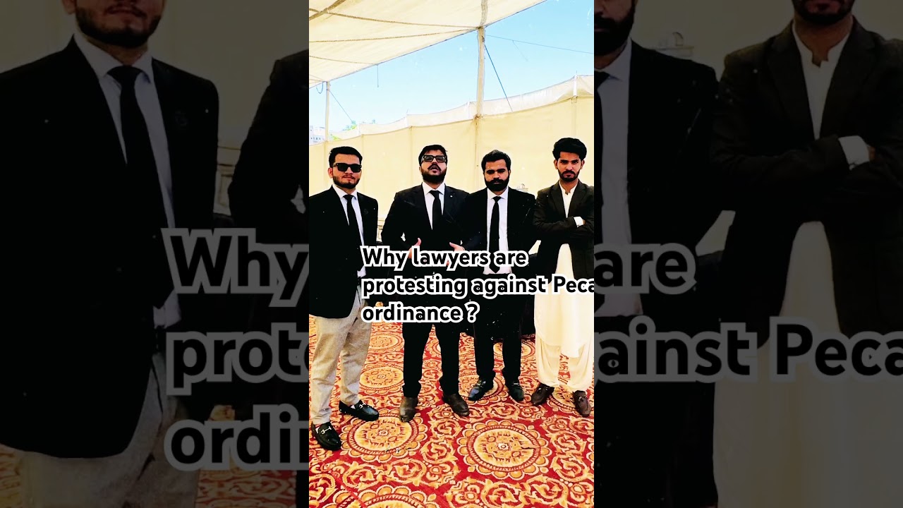 Explaining why lawyers are protesting against Peca ordinance #foryou #foryourpage #dabang