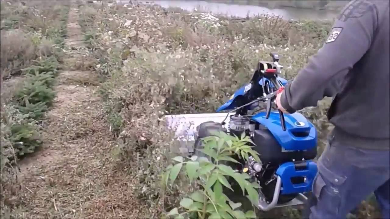 Kosiarka bijakowa w szkółce iglaków