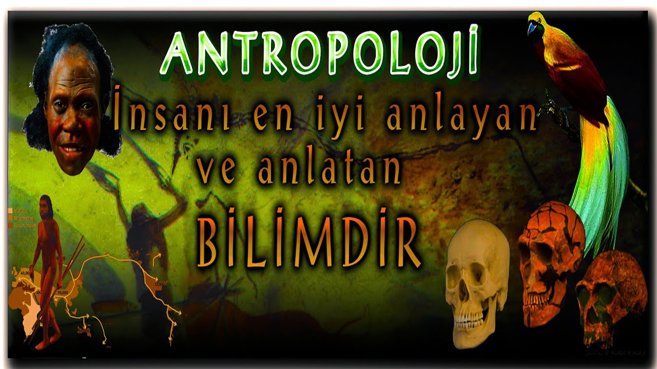 Antropoloji: Çankırı Çorakyerler Omurgalı Fosil Kazısı (Çankırı / 2005)