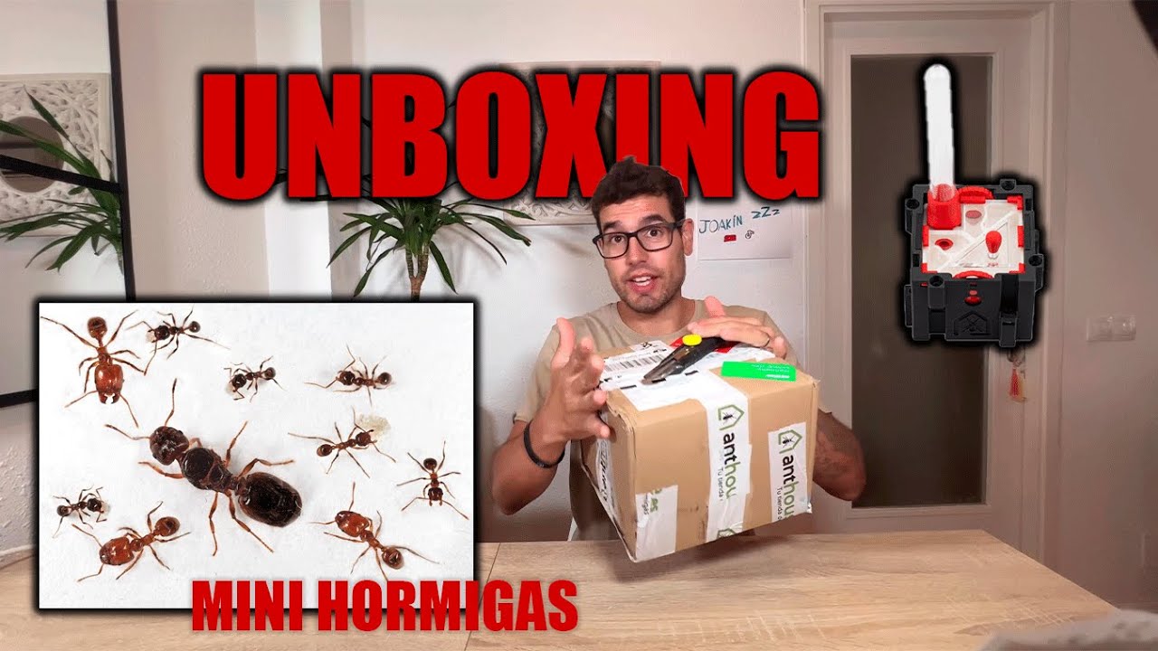UNBOXING de NUEVA COLONIA #libro MESSOR Y QBIK Fundacion de ANTHOUSE