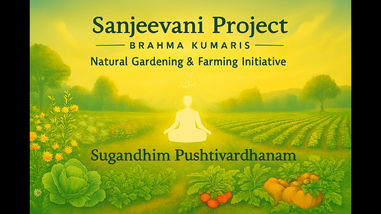 02  Sanjeevani Project   02 Water Charging